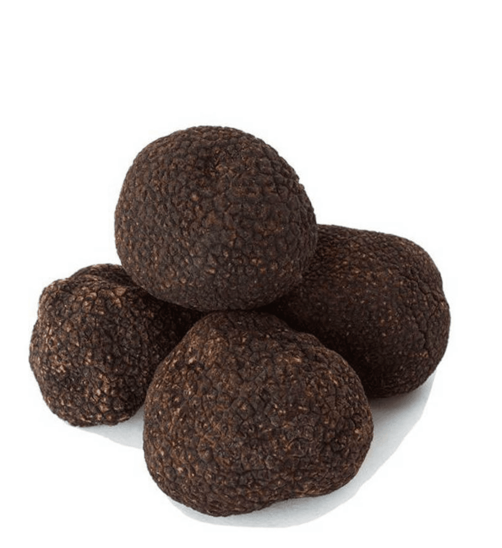 Urbani Truffles Black Burgundy Truffles (Tuber Uncinatum)