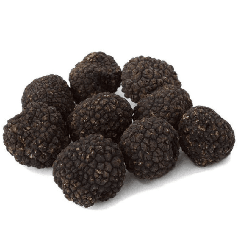 Urbani Truffles Black Burgundy Truffles (Tuber Uncinatum)