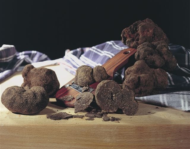 Urbani Truffles Black Burgundy Truffles (Tuber Uncinatum)