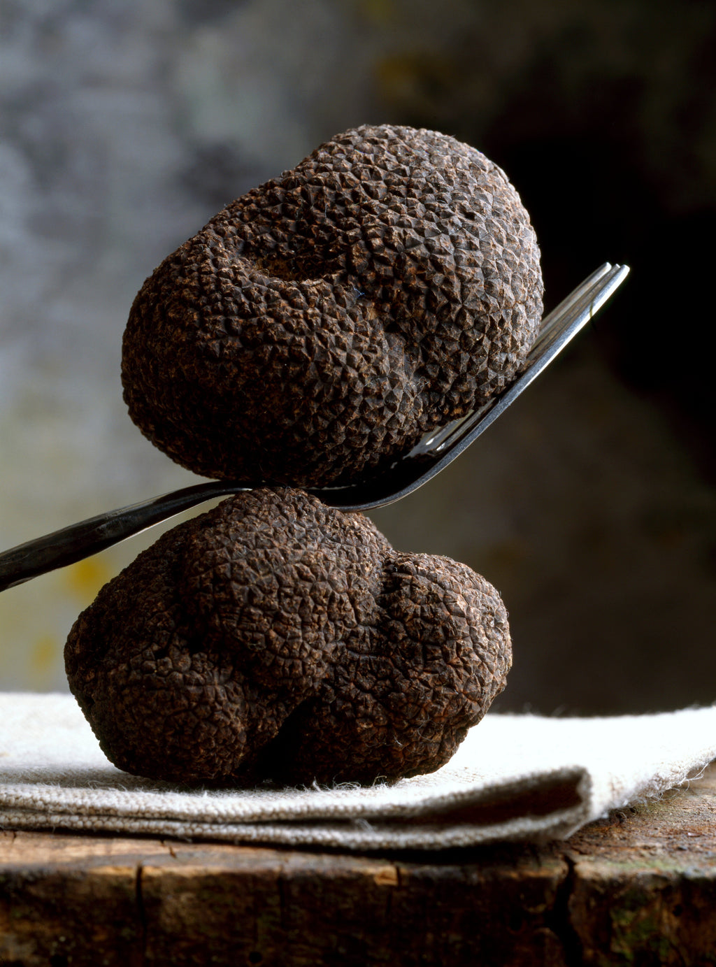 Urbani Truffles Black Burgundy Truffles (Tuber Uncinatum)