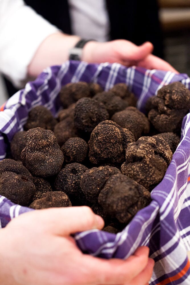 Urbani Truffles Black Burgundy Truffles (Tuber Uncinatum)