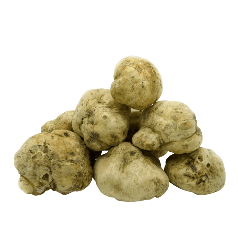 Urbani Truffles Small White Alba Truffles (Tuber Magnatum Pico)
