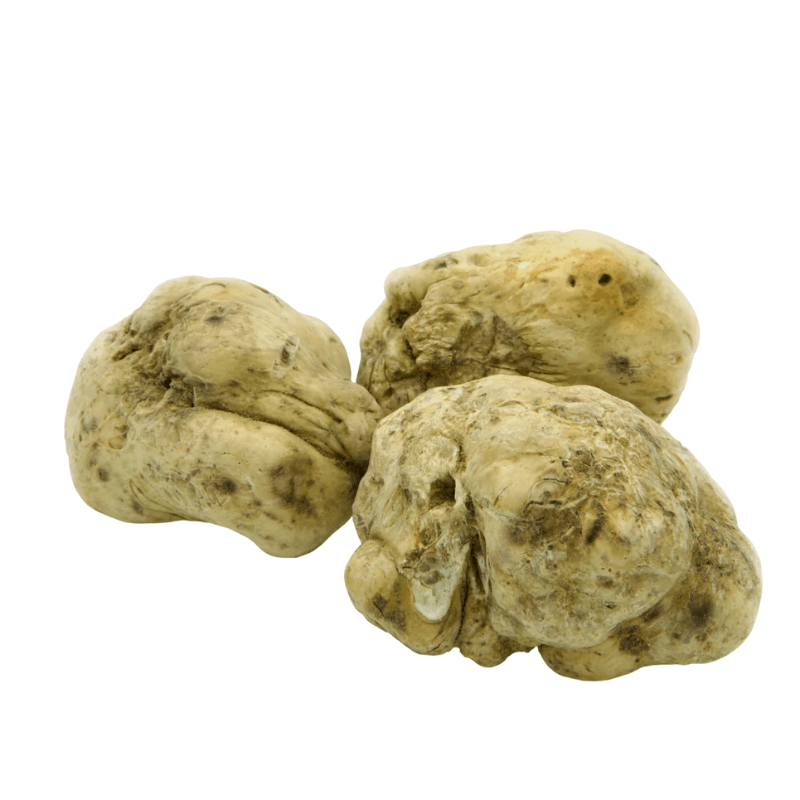 Urbani Truffles Small White Alba Truffles (Tuber Magnatum Pico)