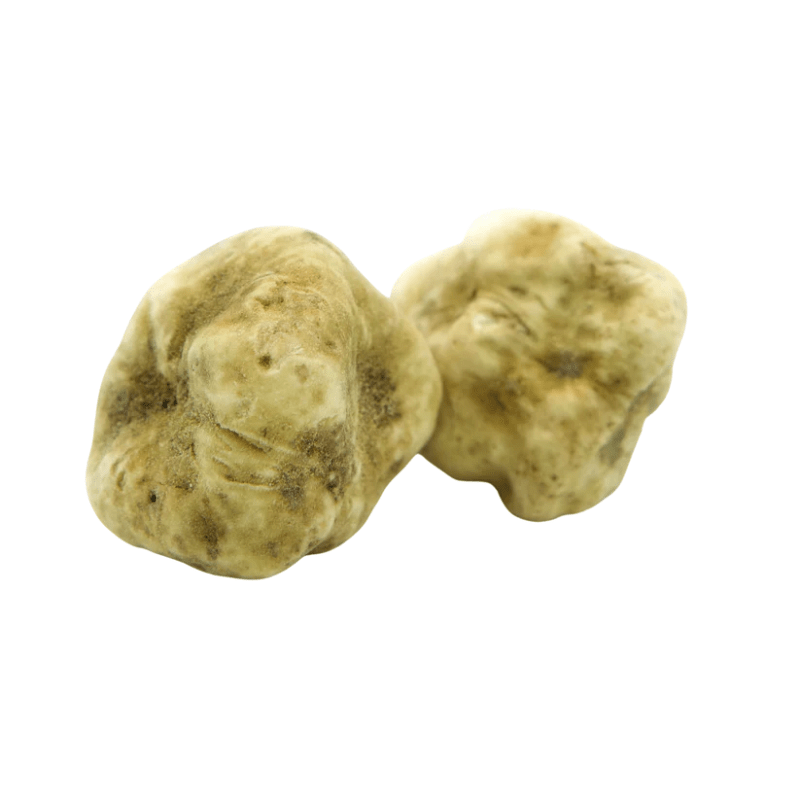 Urbani Truffles Small White Alba Truffles (Tuber Magnatum Pico)