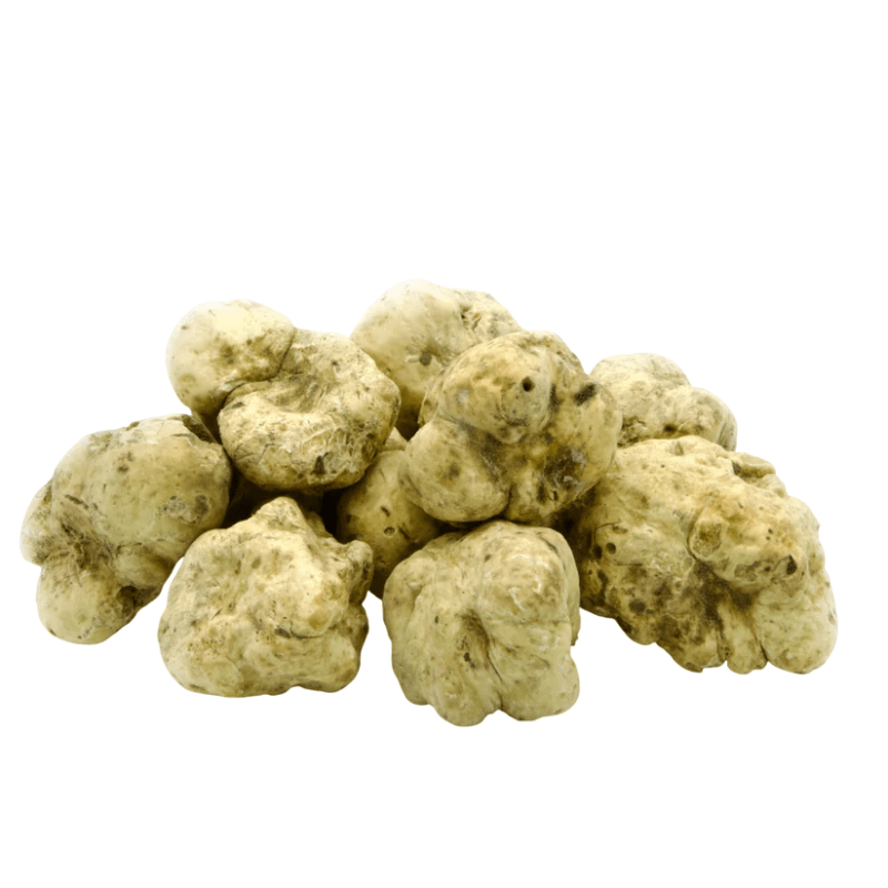Urbani Truffles Small White Alba Truffles (Tuber Magnatum Pico)