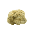 Urbani Truffles Small White Alba Truffles (Tuber Magnatum Pico)